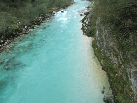 Emerald blue-green river in Soča valley